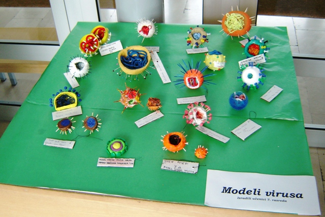 modeli virusa
